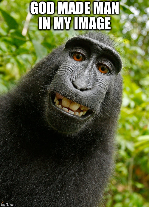 funny monkey | GOD MADE MAN IN MY IMAGE | image tagged in funny monkey | made w/ Imgflip meme maker