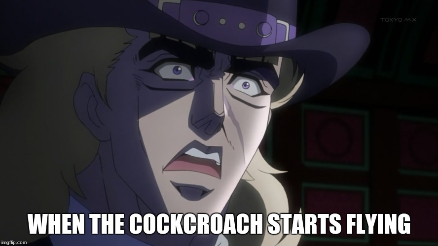 When the cockcroach starts flying | WHEN THE COCKCROACH STARTS FLYING | image tagged in memes,anime,jojo's bizarre adventure,bugs,scared | made w/ Imgflip meme maker
