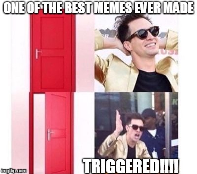 ONE OF THE BEST MEMES EVER MADE; TRIGGERED!!!! | image tagged in memes | made w/ Imgflip meme maker