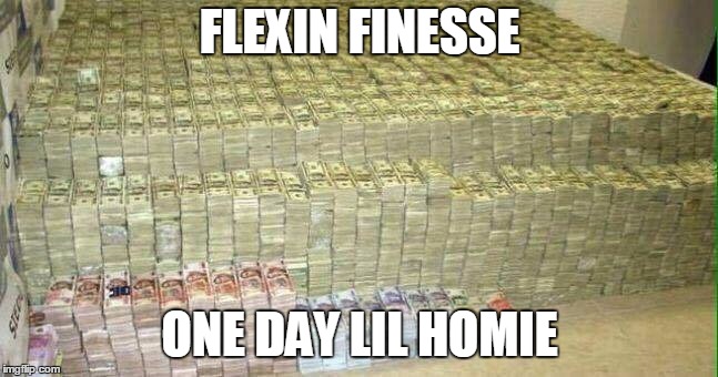 Huge stack of dollars | FLEXIN FINESSE; ONE DAY LIL HOMIE | image tagged in huge stack of dollars | made w/ Imgflip meme maker