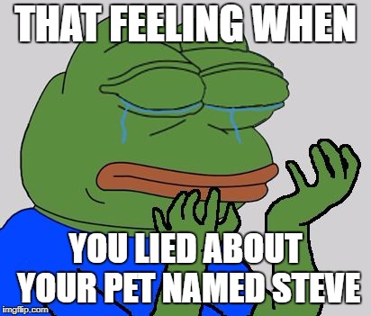 I lied about my pet named Steve | THAT FEELING WHEN; YOU LIED ABOUT YOUR PET NAMED STEVE | image tagged in pepe cry,pet named steve,markiplier,that feeling when | made w/ Imgflip meme maker