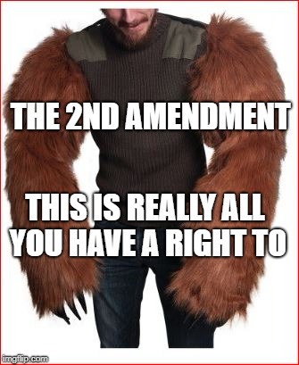 The right to bear arms | THE 2ND AMENDMENT; THIS IS REALLY ALL YOU HAVE A RIGHT TO | image tagged in gun control,guns,bad luck bear | made w/ Imgflip meme maker