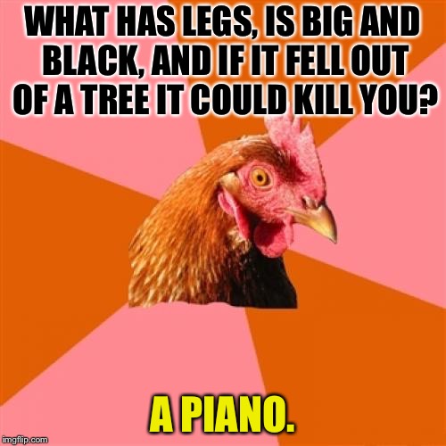 Hitting the high note with a piano drop | WHAT HAS LEGS, IS BIG AND BLACK, AND IF IT FELL OUT OF A TREE IT COULD KILL YOU? A PIANO. | image tagged in memes,anti joke chicken,piano,kill,black,music | made w/ Imgflip meme maker