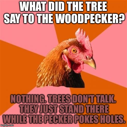 That pecker has got some wood | WHAT DID THE TREE SAY TO THE WOODPECKER? NOTHING. TREES DON'T TALK. THEY JUST STAND THERE WHILE THE PECKER POKES HOLES. | image tagged in memes,anti joke chicken,woodpecker,tree,hole,stand | made w/ Imgflip meme maker