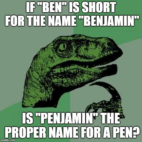 Maybe lions live in denjamins!!! | IF "BEN" IS SHORT FOR THE NAME "BENJAMIN"; IS "PENJAMIN" THE PROPER NAME FOR A PEN? | image tagged in memes,philosoraptor,dank memes,benjamin mccarthy,bad puns,funny | made w/ Imgflip meme maker
