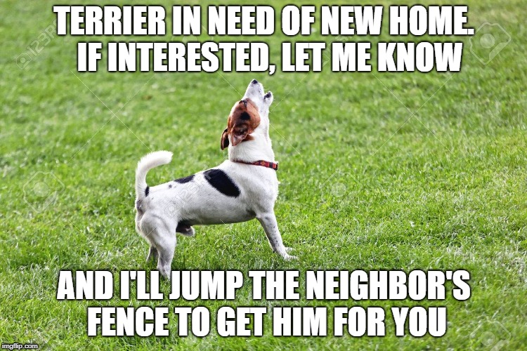 Need To Rehome Imgflip