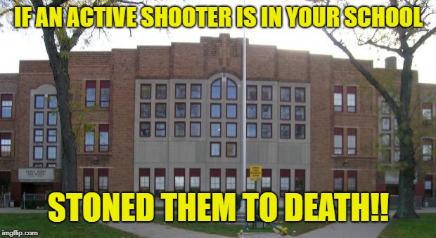 High School | IF AN ACTIVE SHOOTER IS IN YOUR SCHOOL; STONED THEM TO DEATH!! | image tagged in high school | made w/ Imgflip meme maker