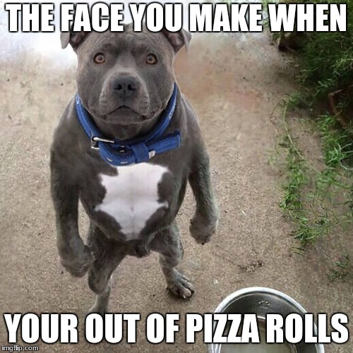 BAD DOG | THE FACE YOU MAKE WHEN; YOUR OUT OF PIZZA ROLLS | image tagged in bad dog | made w/ Imgflip meme maker