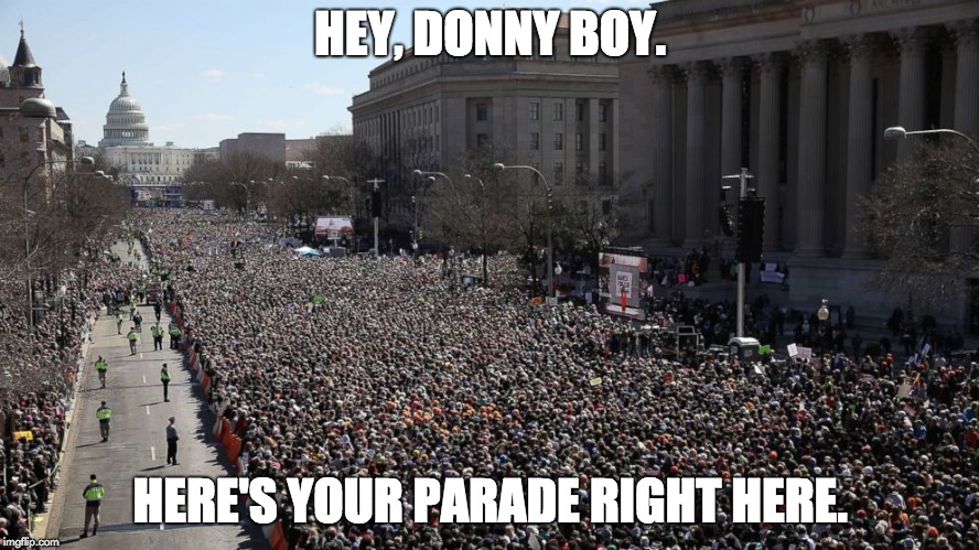 HEY, DONNY BOY. HERE'S YOUR PARADE RIGHT HERE. | image tagged in donald trump,never again,gun control,parade,march for our lives | made w/ Imgflip meme maker