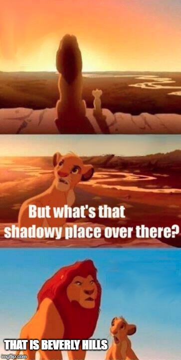 Simba Shadowy Place Meme | THAT IS BEVERLY HILLS | image tagged in memes,simba shadowy place | made w/ Imgflip meme maker
