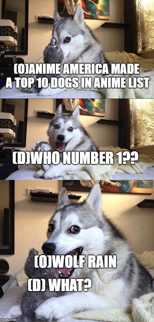Bad Pun Dog | (O)ANIME AMERICA MADE A TOP 10 DOGS IN ANIME LIST; (D)WHO NUMBER 1?? (O)WOLF RAIN; (D) WHAT? | image tagged in memes,bad pun dog | made w/ Imgflip meme maker