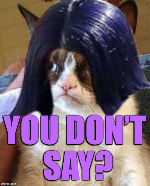 Grumpy Mima | YOU DON’T SAY? | image tagged in grumpy mima | made w/ Imgflip meme maker