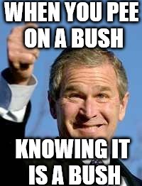 WHEN YOU PEE ON A BUSH KNOWING IT IS A BUSH | made w/ Imgflip meme maker