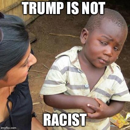 Third World Skeptical Kid Meme | TRUMP IS NOT; RACIST | image tagged in memes,third world skeptical kid | made w/ Imgflip meme maker