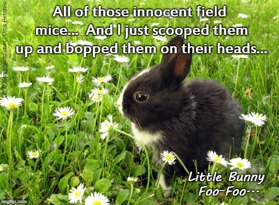 Little Bunny Foo-Foo confesses... |  All of those innocent field mice...  And I just scooped them up and bopped them on their heads... Little Bunny Foo-Foo... | image tagged in field mice,innocent,bopped,heads | made w/ Imgflip meme maker