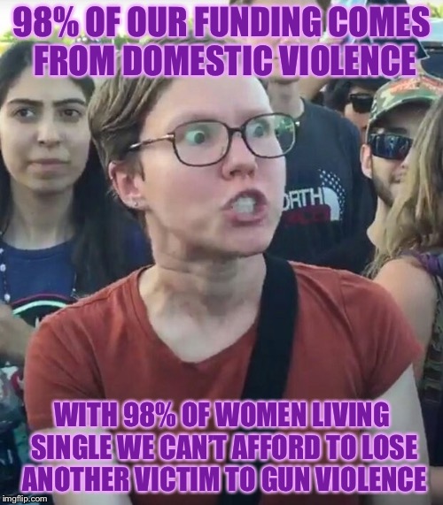 98% OF OUR FUNDING COMES FROM DOMESTIC VIOLENCE WITH 98% OF WOMEN LIVING SINGLE WE CAN’T AFFORD TO LOSE ANOTHER VICTIM TO GUN VIOLENCE | made w/ Imgflip meme maker
