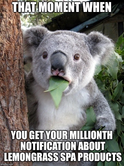 Surprised Koala Meme | THAT MOMENT WHEN; YOU GET YOUR MILLIONTH NOTIFICATION ABOUT LEMONGRASS SPA PRODUCTS | image tagged in memes,surprised coala | made w/ Imgflip meme maker