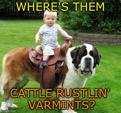 A new sheriff in town. | WHERE'S THEM; CATTLE RUSTLIN' VARMINTS? | image tagged in dog,memes,funny,cattle rustling | made w/ Imgflip meme maker