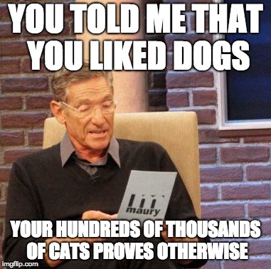 Maury Lie Detector | YOU TOLD ME THAT YOU LIKED DOGS; YOUR HUNDREDS OF THOUSANDS OF CATS PROVES OTHERWISE | image tagged in memes,maury lie detector | made w/ Imgflip meme maker