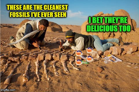 THESE ARE THE CLEANEST FOSSILS I'VE EVER SEEN I BET THEY'RE DELICIOUS TOO | made w/ Imgflip meme maker