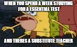 Spongegar | WHEN YOU SPEND A WEEK STUDYING FOR A ESSENTIAL TEST; AND THERES A SUBSTITUTE TEACHER | image tagged in memes,spongegar | made w/ Imgflip meme maker