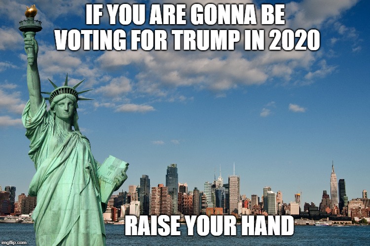 IF YOU ARE GONNA BE VOTING FOR TRUMP IN 2020; RAISE YOUR HAND | image tagged in liberty | made w/ Imgflip meme maker