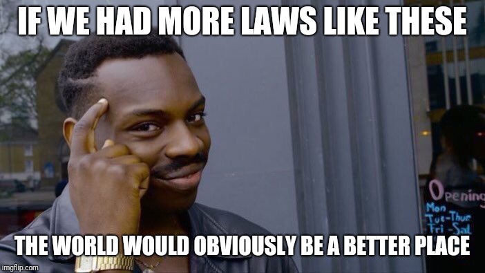 Roll Safe Think About It Meme | IF WE HAD MORE LAWS LIKE THESE THE WORLD WOULD OBVIOUSLY BE A BETTER PLACE | image tagged in memes,roll safe think about it | made w/ Imgflip meme maker