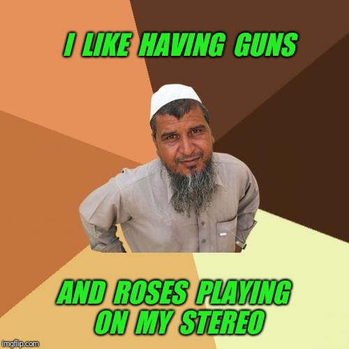 Ordinary Muslim Man Meme | I  LIKE  HAVING  GUNS; AND  ROSES  PLAYING  ON  MY  STEREO | image tagged in memes,ordinary muslim man,guns,guns and roses | made w/ Imgflip meme maker