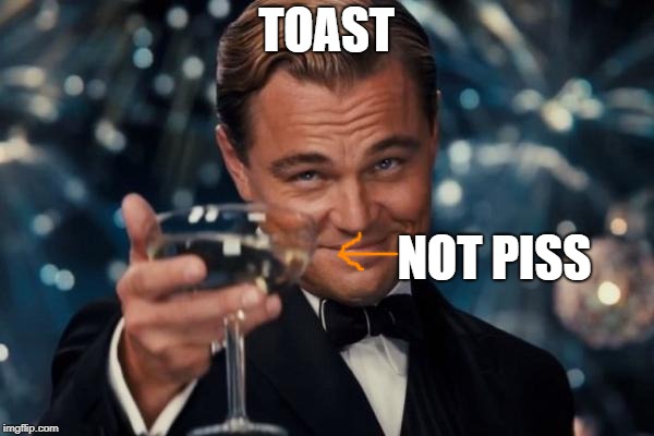 Leonardo Dicaprio Cheers Meme | TOAST NOT PISS | image tagged in memes,leonardo dicaprio cheers | made w/ Imgflip meme maker
