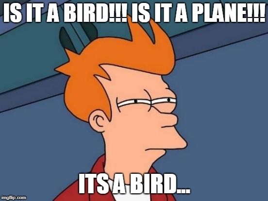 Futurama Fry Meme | IS IT A BIRD!!! IS IT A PLANE!!! ITS A BIRD... | image tagged in memes,futurama fry | made w/ Imgflip meme maker