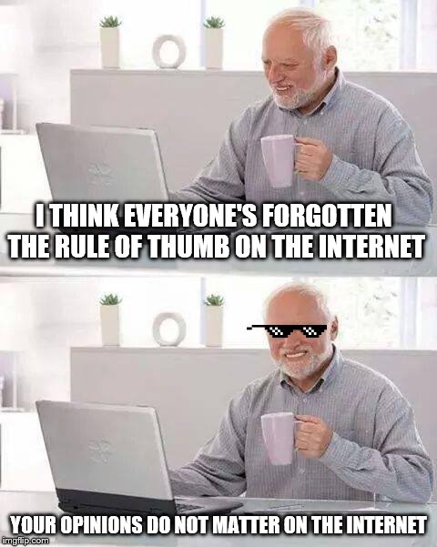 Seriously, they don't. It's just a straight up fact, proven by Papa Franku | I THINK EVERYONE'S FORGOTTEN THE RULE OF THUMB ON THE INTERNET; YOUR OPINIONS DO NOT MATTER ON THE INTERNET | image tagged in memes,hide the pain harold,internet,political meme | made w/ Imgflip meme maker