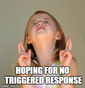 Hope So | HOPING FOR NO TRIGGERED RESPONSE | image tagged in hope so | made w/ Imgflip meme maker