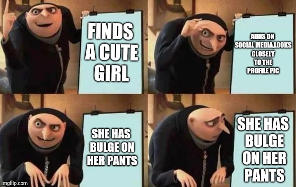 Gru's Plan Meme | FINDS A CUTE GIRL; ADDS ON SOCIAL MEDIA,LOOKS CLOSELY TO THE PROFILE PIC; SHE HAS BULGE ON HER PANTS; SHE HAS BULGE ON HER PANTS | image tagged in gru's plan | made w/ Imgflip meme maker