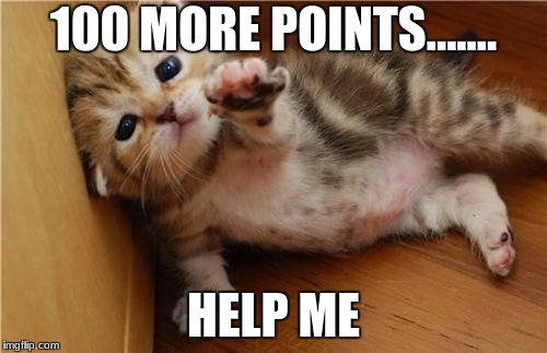 So close!!!!! | 100 MORE POINTS....... HELP ME | image tagged in help me kitten | made w/ Imgflip meme maker