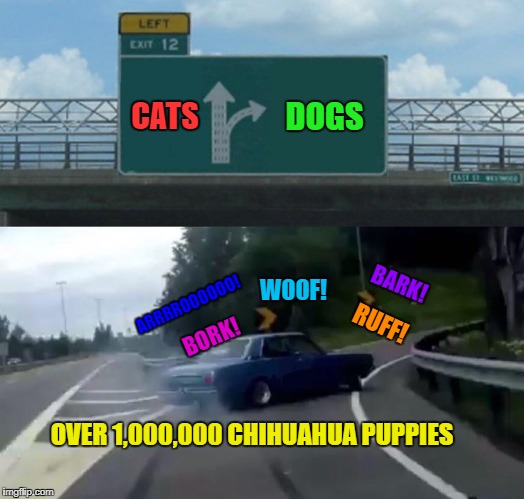 Chihuahuas barking in the car. | DOGS; CATS; BARK! WOOF! ARRRROOOOOO! RUFF! BORK! OVER 1,000,000 CHIHUAHUA PUPPIES | image tagged in memes,left exit 12 off ramp,chihuahua,dogs,i love dogs | made w/ Imgflip meme maker