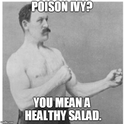 Overly Manly Man | POISON IVY? YOU MEAN A HEALTHY SALAD. | image tagged in memes,overly manly man | made w/ Imgflip meme maker