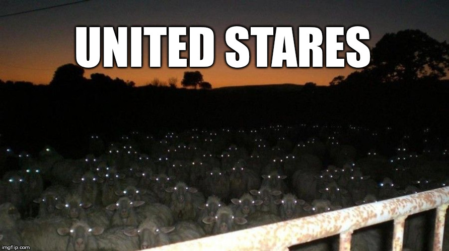UNITED STARES | image tagged in united stares | made w/ Imgflip meme maker