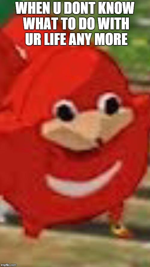 Ugandan knuckles | WHEN U DONT KNOW WHAT TO DO WITH UR LIFE ANY MORE | image tagged in ugandan knuckles | made w/ Imgflip meme maker