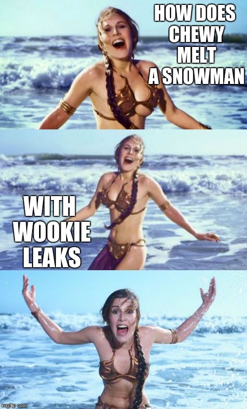 bad pun leia | HOW DOES CHEWY MELT A SNOWMAN WITH WOOKIE LEAKS | image tagged in bad pun leia | made w/ Imgflip meme maker