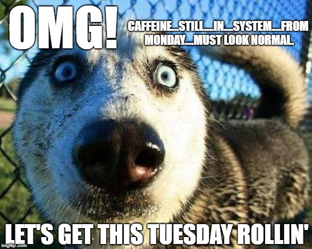 Tuesday | OMG! CAFFEINE...STILL....IN....SYSTEM....FROM MONDAY....MUST LOOK NORMAL. LET'S GET THIS TUESDAY ROLLIN' | image tagged in tuesday | made w/ Imgflip meme maker