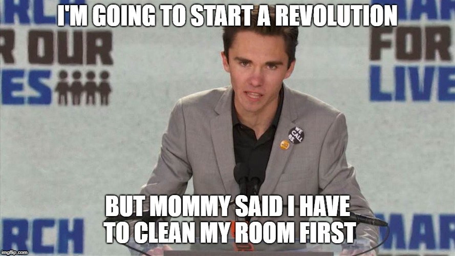 I'M GOING TO START A REVOLUTION; BUT MOMMY SAID I HAVE TO CLEAN MY ROOM FIRST | image tagged in david hogg | made w/ Imgflip meme maker