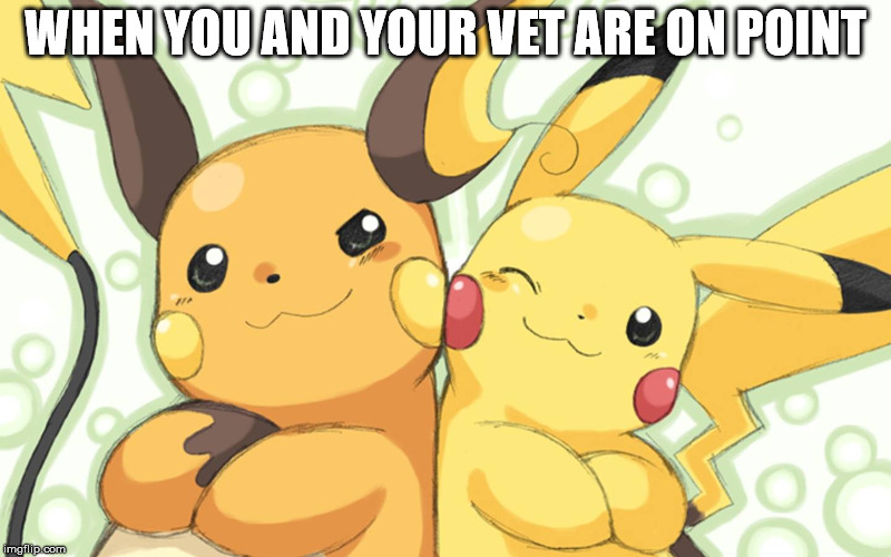 Pikachu douche | WHEN YOU AND YOUR VET ARE ON POINT | image tagged in pikachu douche | made w/ Imgflip meme maker
