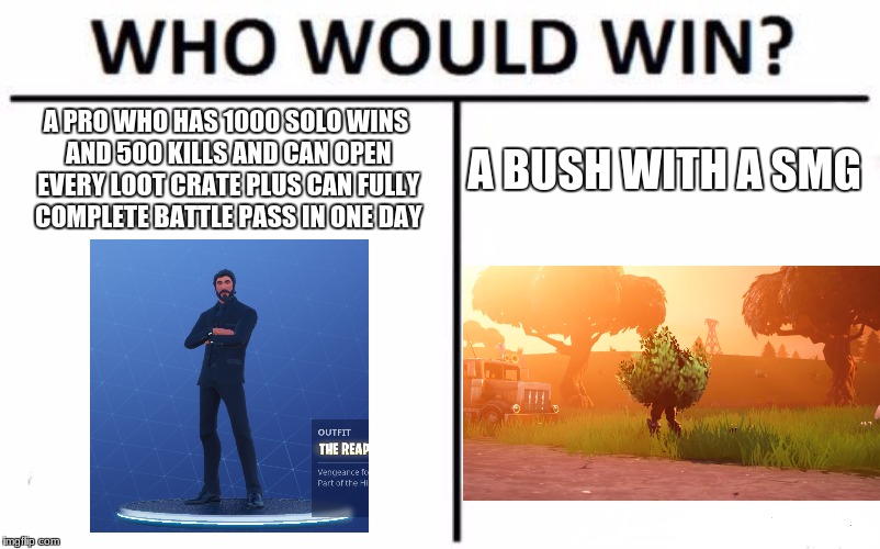 Who Would Win? | A PRO WHO HAS 1000 SOLO WINS AND 500 KILLS AND CAN OPEN EVERY LOOT CRATE PLUS CAN FULLY COMPLETE BATTLE PASS IN ONE DAY; A BUSH WITH A SMG | image tagged in memes,who would win | made w/ Imgflip meme maker