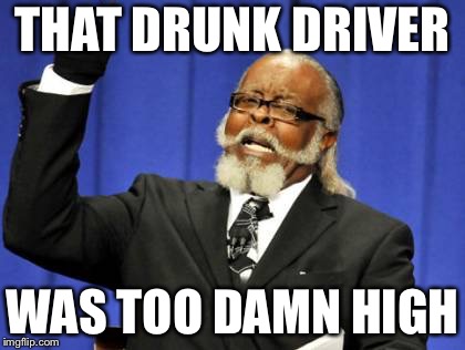 Too Damn High | THAT DRUNK DRIVER; WAS TOO DAMN HIGH | image tagged in memes,too damn high | made w/ Imgflip meme maker