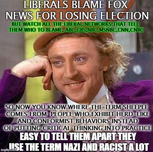 I See Sheeple | LIBERALS BLAME FOX NEWS FOR LOSING ELECTION; BUT WATCH ALL THE LIBERAL NETWORKS THAT TELL THEM WHO TO BLAME, ABC,CBS,NBC,MSNBC,CNN,CNBC; SO NOW YOU KNOW WHERE THE TERM SHEEPLE COMES FROM  PEOPLE WHO EXHIBIT HERD-LIKE AND CONFORMIST BEHAVIORS INSTEAD OF PUTTING CRITICAL THINKING INTO PRACTICE; EASY TO TELL THEM APART THEY USE THE TERM NAZI AND RACIST A LOT | image tagged in cnn,nbc,racist,antifa,anti-religion,freedom | made w/ Imgflip meme maker