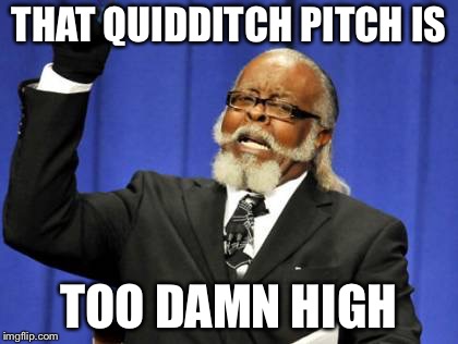 Too Damn High Meme | THAT QUIDDITCH PITCH IS; TOO DAMN HIGH | image tagged in memes,too damn high | made w/ Imgflip meme maker