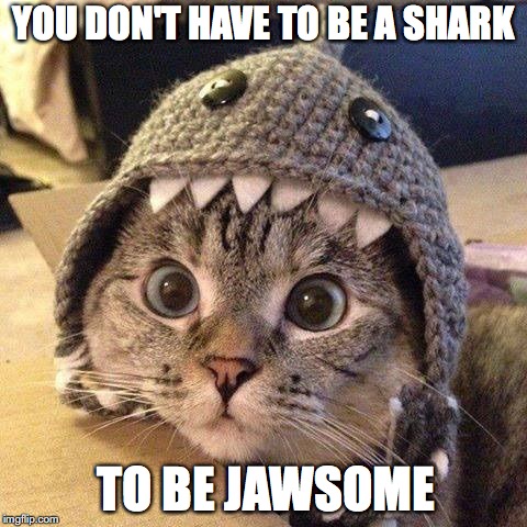 Cat shark | YOU DON'T HAVE TO BE A SHARK; TO BE JAWSOME | image tagged in cat shark | made w/ Imgflip meme maker