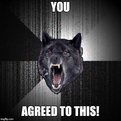 Insanity Wolf Meme | YOU; AGREED TO THIS! | image tagged in memes,insanity wolf,AdviceAnimals | made w/ Imgflip meme maker