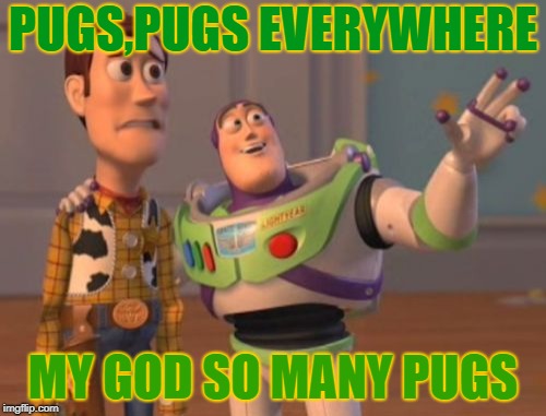 X, X Everywhere | PUGS,PUGS EVERYWHERE; MY GOD SO MANY PUGS | image tagged in memes,x x everywhere | made w/ Imgflip meme maker