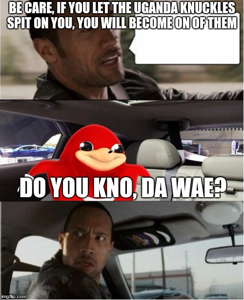 Rock Da Wae | BE CARE, IF YOU LET THE UGANDA KNUCKLES SPIT ON YOU, YOU WILL BECOME ON OF THEM; DO YOU KNO, DA WAE? | image tagged in rock da wae,spit,funny memes | made w/ Imgflip meme maker